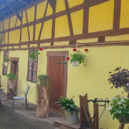 Apartment Typique Alsacien Maison Vigneronne 18e Siecle Beblenheim