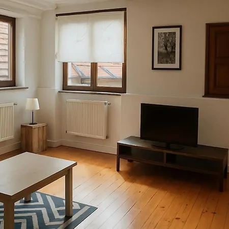 Apartment Typique Alsacien Maison Vigneronne 18e Siecle *