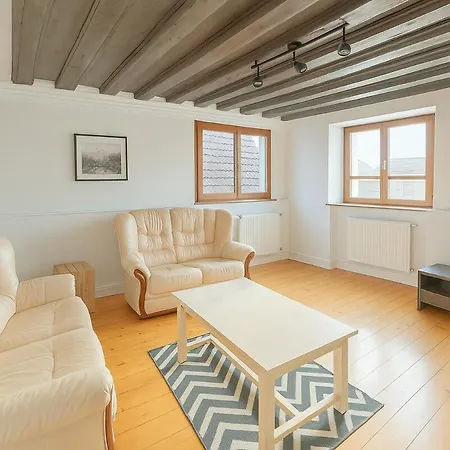 Typique Alsacien Maison Vigneronne 18e Siecle Apartment