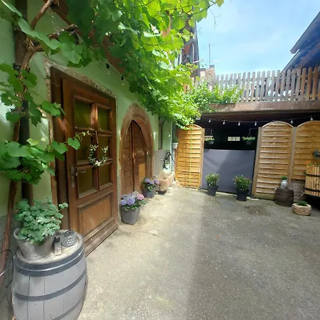 Typique Alsacien Maison Vigneronne 18e Siecle Lägenhet *
